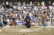 img_d0092c71365561358fa1926bf9486498522179.jpg