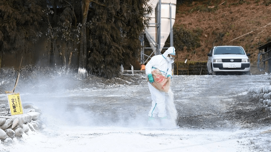 鳥インフルエンザが疑われる農場の入り口に石灰をまく関係者＝４日午後４時４２分、山県市内