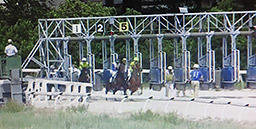 ３頭立てでスタートする笠松競馬の２歳新馬戦（笠松競馬・ＮＡＲ地方競馬ライブより）