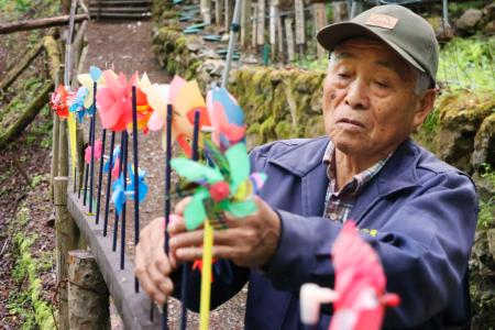 　日航ジャンボ機墜落事故の現場「御巣鷹の尾根」で、風車を飾り付ける管理人の黒沢完一さん＝２３日午前、群馬県上野村