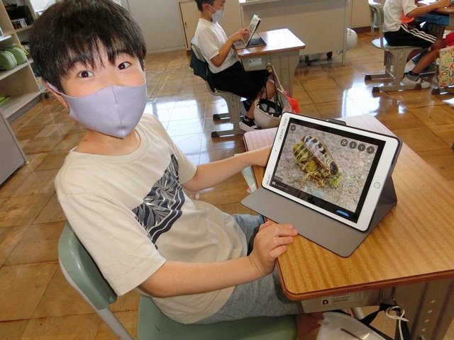 砂場にいるハチについてタブレットで調べる児童＝八百津町潮見、潮見小学校
