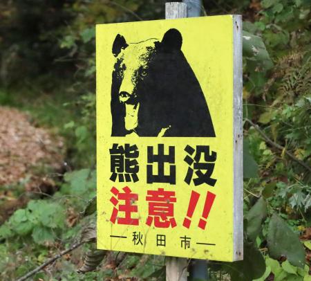 　クマへの注意を呼びかける看板＝１１月、秋田市
