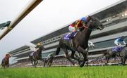 　第１７３回天皇賞・春で優勝したクロワデュノール（手前）＝京都競馬場