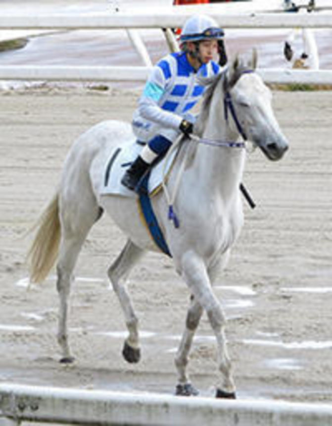 ２日目に２勝を挙げるなど、笠松で好スタートを切った水野騎手