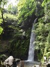 新緑の間を勢いよく流れ落ちる滝。水しぶきが訪れた人を癒やす＝養老郡養老町、養老公園