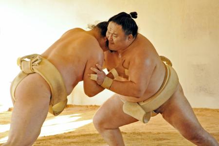 　ぶつかり稽古で胸を出す玉鷲＝福岡県朝倉市の片男波部屋宿舎