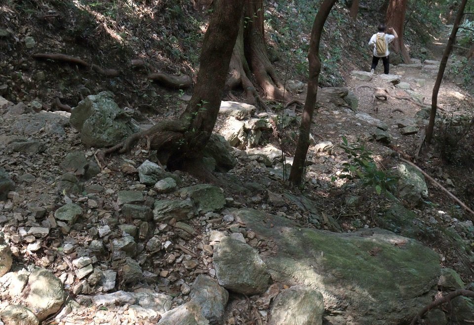 岩が多い「めい想の小径」の下り。登りよりも下りの方が事故も多く、少しの油断が事故につながる＝５月、金華山