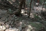 岩が多い「めい想の小径」の下り。登りよりも下りの方が事故も多く、少しの油断が事故につながる＝５月、金華山