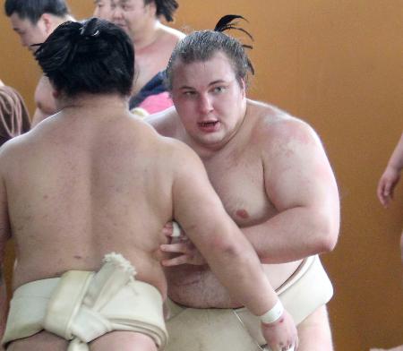 　時津風一門の連合稽古で汗を流す安青錦＝堺市の音羽山部屋宿舎