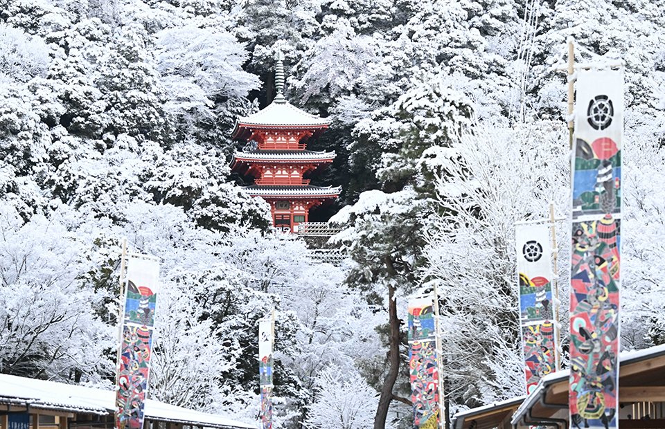 雪化粧した金華山の三重塔＝３０日午前７時３６分、岐阜市槻谷（撮影・堀尚人）
