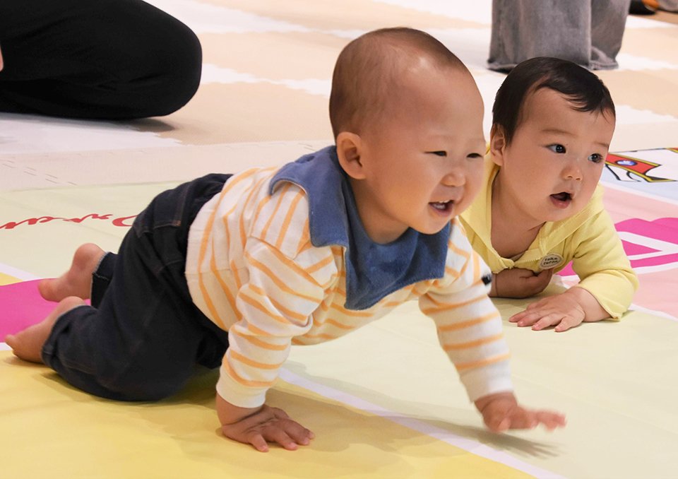 ハイハイレースでゴール目指してスタートする赤ちゃん＝岐阜市神田町、Ｇ’ｓ　Ｄｒｅａｍ