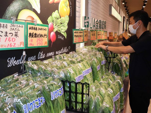 ８月の大雨で価格が高騰した野菜が並ぶ青果店の売り場＝岐阜市橋本町