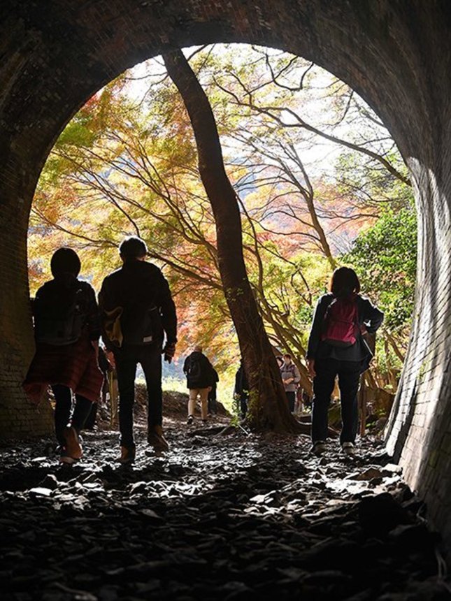 トンネル内を歩く人ら。出口の向こうには紅葉した木々がのぞく＝愛知県春日井市、愛岐トンネル群