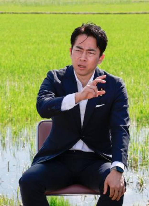 　福島県南相馬市の水田を視察し、生産者らと意見交換する小泉農相＝１５日午後