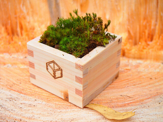 ツアーの参加者が製作できる「苔升」