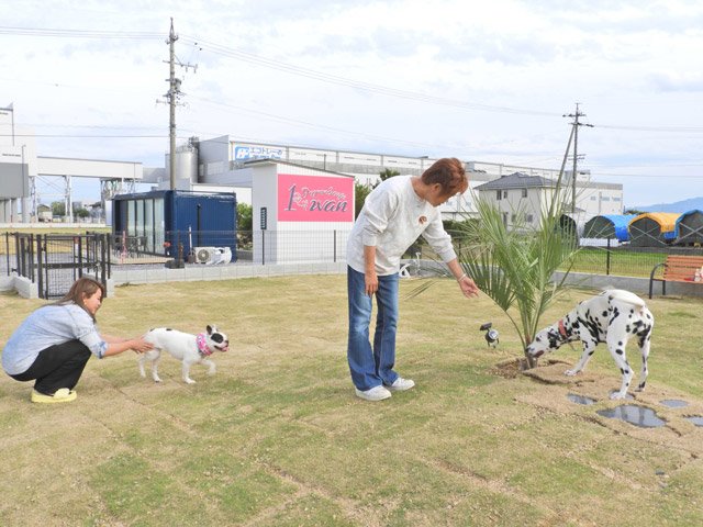 施設の至る所に愛犬家の店員ならではの工夫が凝らされた店内＝輪之内町南波、Ｄｏｇｒｕｎ＆ｃａｆｅ１ｗａｎ