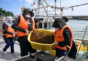 　石川県輪島市の輪島港で、もずくを水揚げする海女たち＝１日午前