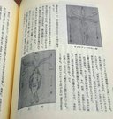 「逍遙選集別冊第五」に掲載された牧野富太郎から坪内逍遙に送られた絵図と論文の一部