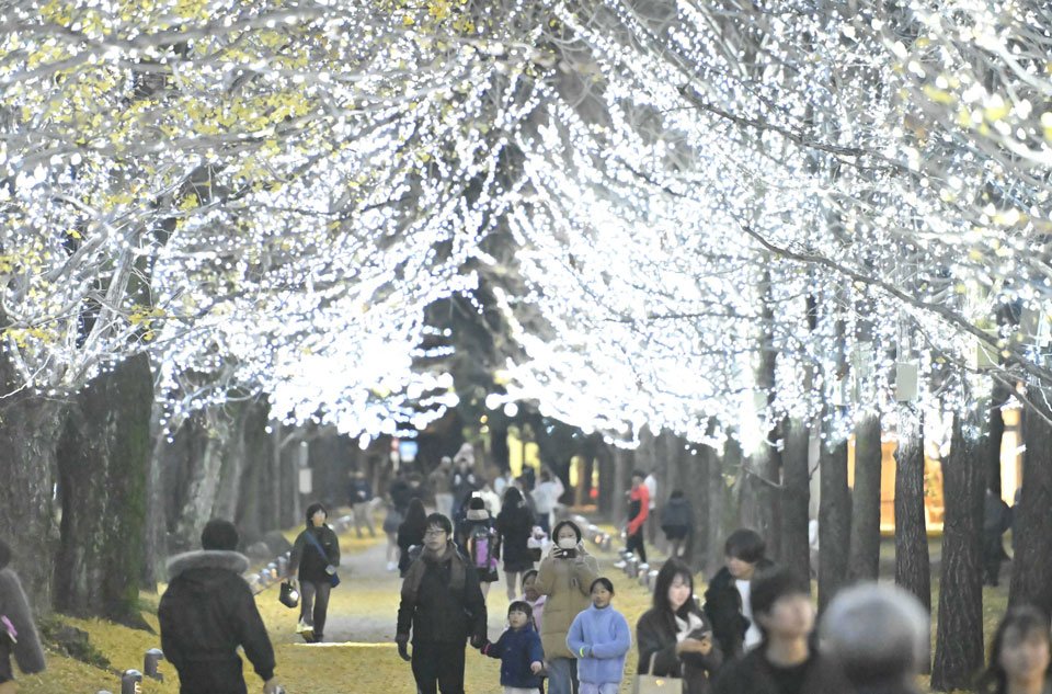 イチョウ並木の電飾を楽しむ人たち＝６日午後５時４２分、各務原市那加雲雀町、学びの森