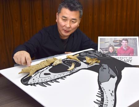 　中間型のティラノサウルス「カンクウルウ」の化石について説明する北海道大の小林快次教授＝１１日午後、札幌市