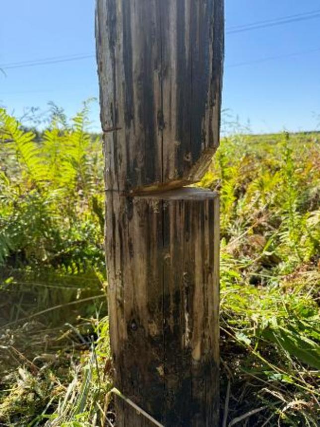 　切り込みが入れられた木柱＝北海道釧路町（ＪＲ北海道提供）