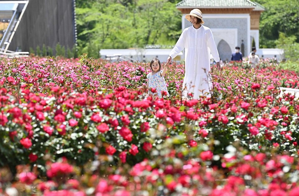 春のバラが見頃を迎えた園内＝１０日午後０時１８分、可児市瀬田、ぎふワールド・ローズガーデン