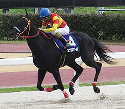 昨年の東海ダービー馬カツゲキキトキト。今年のオグリキャップ記念も制覇した