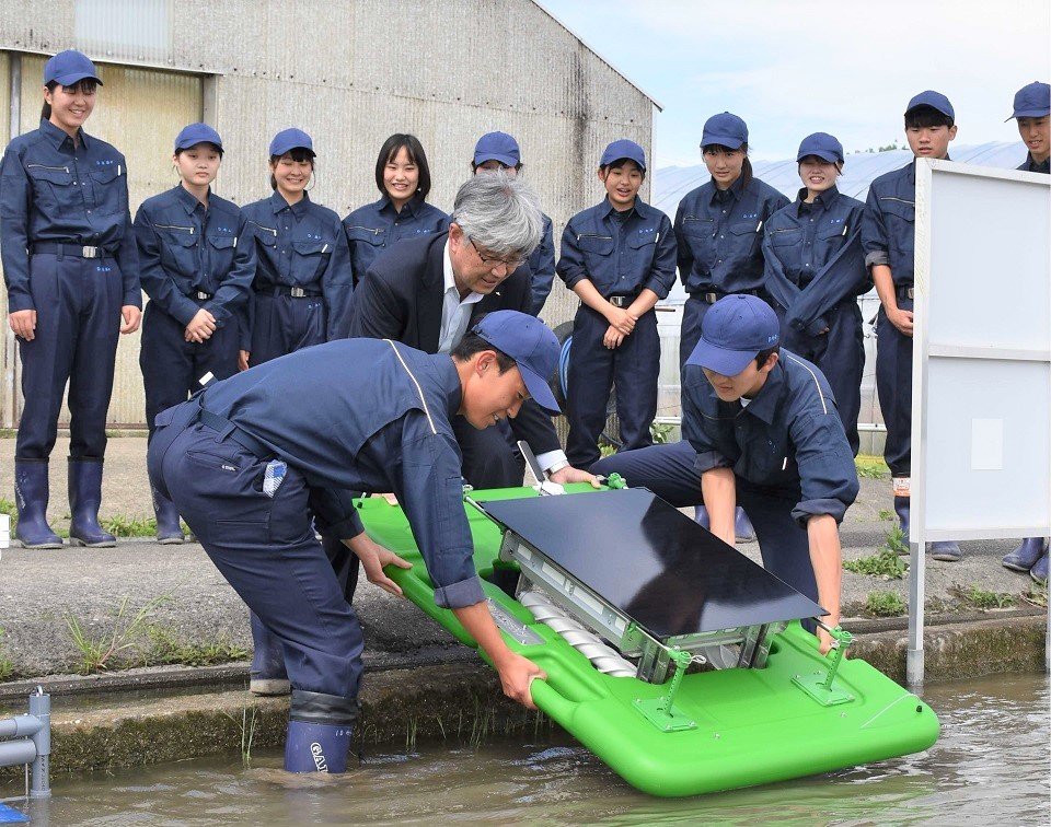 アイガモロボを水田に浮かべる岐阜農林高校の生徒ら＝本巣市北方町、同校