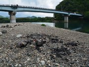 人けのない河原。バーベキューで使ったと思われる焼けた炭や焦げた石が残されていた＝１５日午前１１時２６分、岐阜市長良古津、長良川右岸