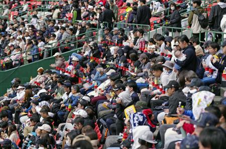 　ＷＢＣ日本代表の練習を見つめるスタンドの観客＝１４日、宮崎市