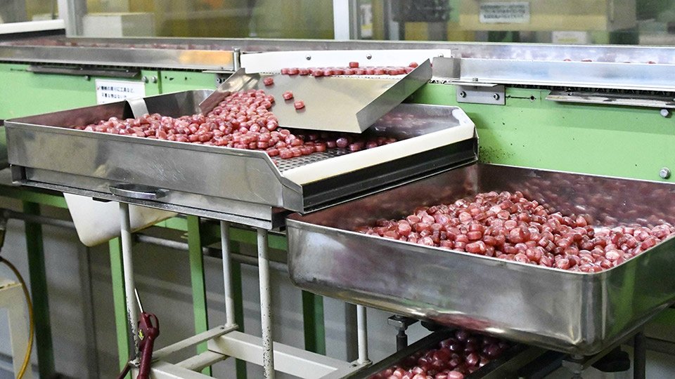 出来上がった「激しょっぱ生梅塩飴」。この後、包装されて出荷される＝各務原市鵜沼各務原町、桃太郎製菓