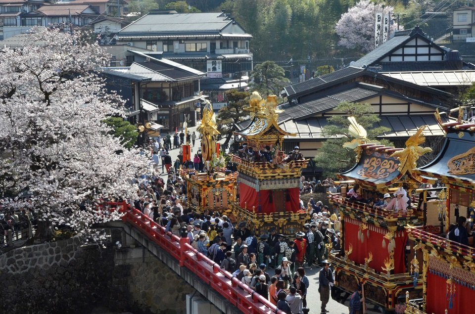 古い町並みを進む祭り屋台。中橋付近の桜は見頃を迎えている＝１４日午前、高山市内