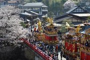 古い町並みを進む祭り屋台。中橋付近の桜は見頃を迎えている＝１４日午前、高山市内