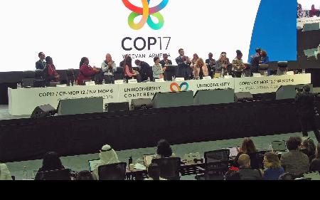　アルメニアの首都エレバンで開かれたＣＯＰ１７の会合。最終日に合意文書を採択した＝１０月３０日（国連の中継から）