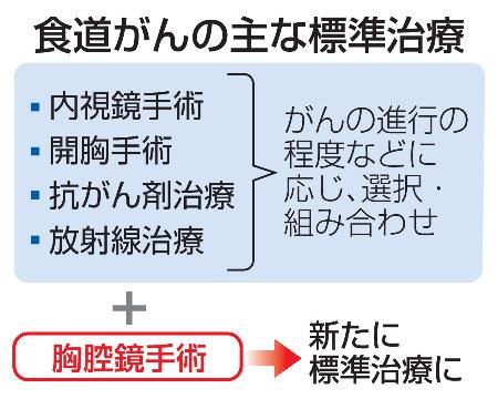 　食道がんの主な標準治療