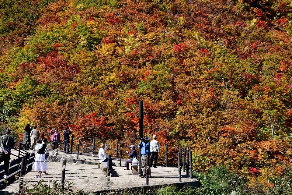 三方岩駐車場から紅葉を楽しむ人々＝１７日午後