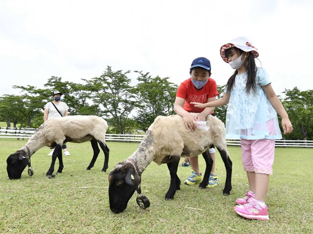 まん延防止等重点措置の県指定解除後初の週末、行楽地で遊ぶ子どもたち＝２６日午前１１時３８分、郡上市高鷲町、牧歌の里
