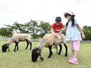 まん延防止等重点措置の県指定解除後初の週末、行楽地で遊ぶ子どもたち＝２６日午前１１時３８分、郡上市高鷲町、牧歌の里

