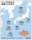 　サンゴの白化を調査した８地点