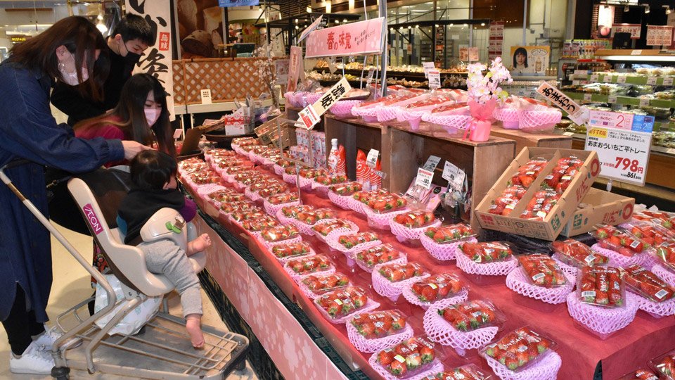 地元で取れた新鮮なイチゴが並んだ売り場＝大垣市外野、イオン大垣店