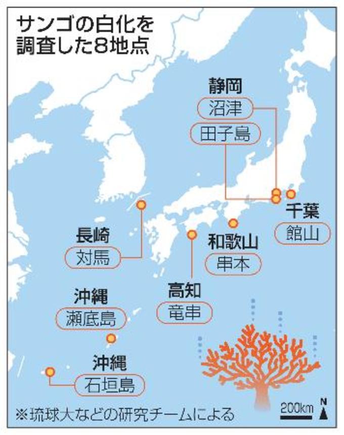 　サンゴの白化を調査した８地点