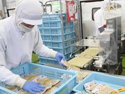 パックが箱に入れられていく