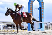 ＪＲＡ交流戦で勝利したモズスナイパーと今村聖奈騎手＝笠松競馬場