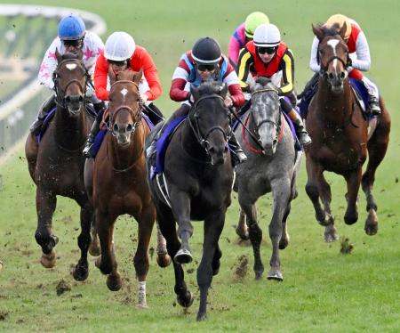 　第４２回ホープフルＳを制した松山弘平騎乗のロブチェン（中央）＝中山競馬場