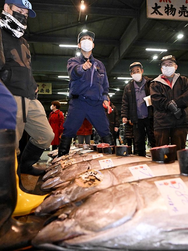 初競りで並んだマグロを競り落とす仲買人ら＝５日午前５時５分、岐阜市茜部新所、市中央卸売市場
