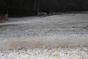 芝生の上にうっすらと積もる雪＝１６日午後、高山市奥飛騨温泉郷平湯、平湯温泉スキー場