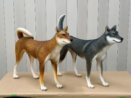 　奈良県桜井市の纒向遺跡で見つかった犬の骨から作った復元模型（同市教育委員会提供）