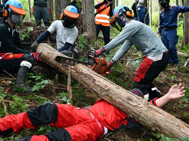 木の下敷きになった林業従事者を救出する訓練＝高山市国府町金桶
