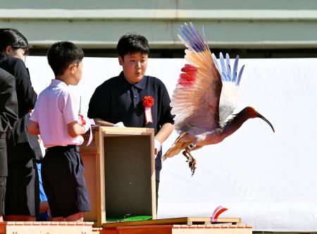 　石川県羽咋市で行われた本州で初めてとなるトキの放鳥で、子どもたちに空へ放たれるトキ＝３１日午後