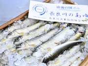 最高値の１キロ４万円で競り落とされた初物の天然鮎＝１１日午前６時１２分、岐阜市茜部新所、市中央卸売市場